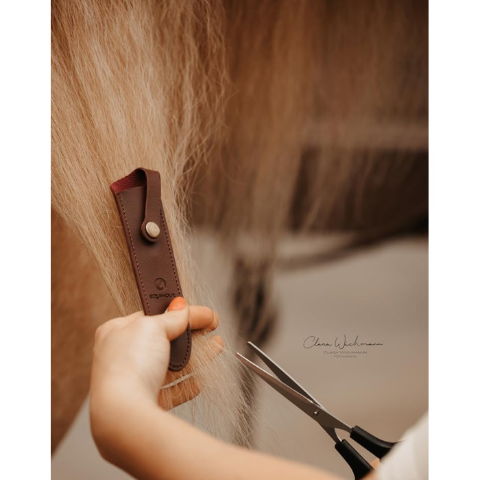 Набір ножиць для догляду за кіньми: ножиці для хвоста та гриви, з чохлом. Нержавіюча сталь, ергономічний дизайн, ідеально для догляду за хвостом та гривою.