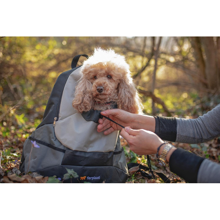 Переноска для собак та котів Ferplast KANGOO, сіра, 43x20x41.5 см, до 8 кг