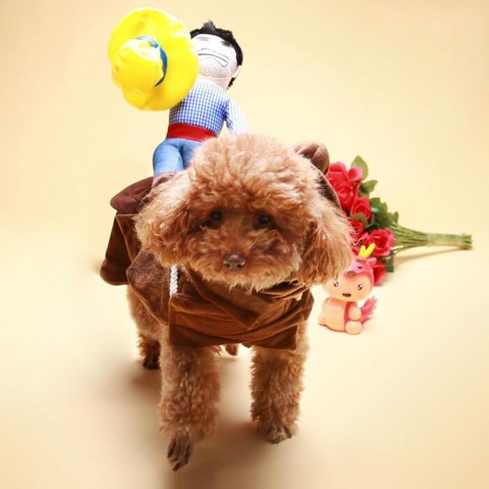 Костюм ковбоя для собак iSMARTEN, стиль лицаря з капелюхом, костюм для домашніх тварин на Хелловін, розмір L