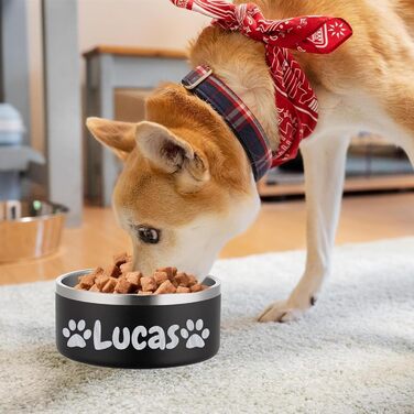 Персоналізований миска для собак та котів - нержавіюча сталева миска з іменем, неслизька миска для собак та котів, миска для води (Чорний)