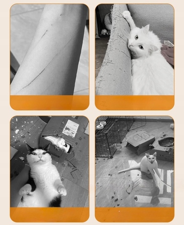 Кігдряпка-килимок SIEMIEC сіра, 200x40 см, для котів