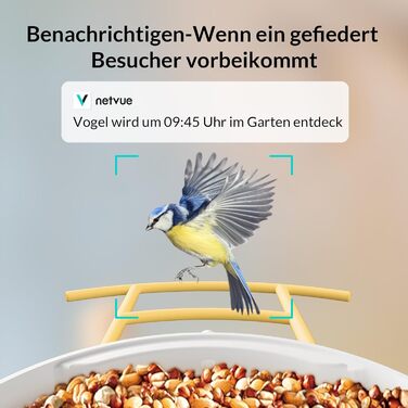 Розумна годівниця для птахів NETVUE Birdfy з WiFi камерою, відеозаписом, кольоровим нічним баченням, автоматична станція для підгодівлі диких птахів