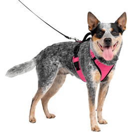 Шлея для собак PetSafe Easysport Medium рожева