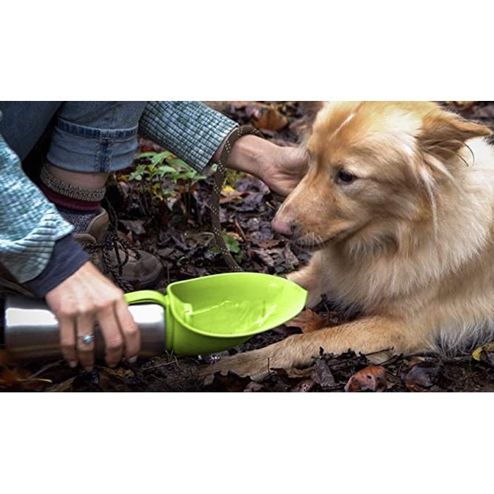 Пляшка для води для собак Pacific Paws Northwest, нержавіюча сталь, портативна, з силіконовою кришкою-листком, поїлка для прогулянок і подорожей, 765 мл, зелена