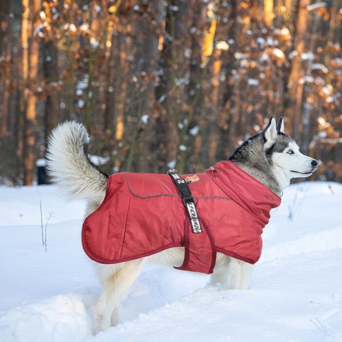 Зимовий одяг для собак FeimaX: теплий, вітронепроникний зимовий одяг для собак середніх та великих порід. Вітронепроникна жилетка для собак з D-кільцем (червоний, 5XL)