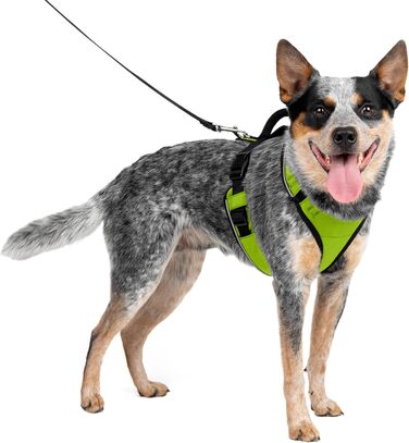 Шлея для собак PetSafe Easysport, розмір M, зелена (яблучна)