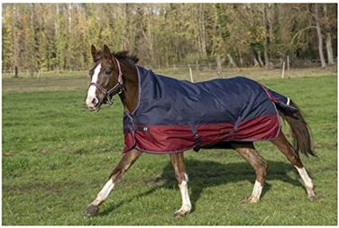 Зимова попона для коня Equi-Theme Highneck 50г, TYREX 1200D, темно-синя/бордова