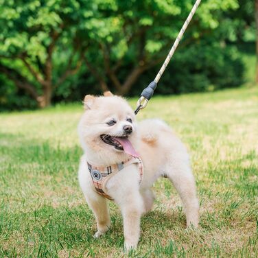 Шлейка та поводок для собак та котів BeautyzOO, м'яка сітчаста тканина, світловідбиваючі елементи, для цуценят та котів середніх та маленьких розмірів, в клітинку, XS/S, Бежевий (37-41 см обхват грудей)