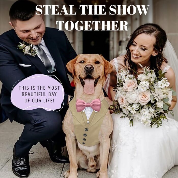 Smoking для собак: стильний костюм для собак середніх та великих порід XL. Костюм для свят, вечірок, косплею, Хелловіну, весілля. Бежевий smoking з рожевою краваткою.