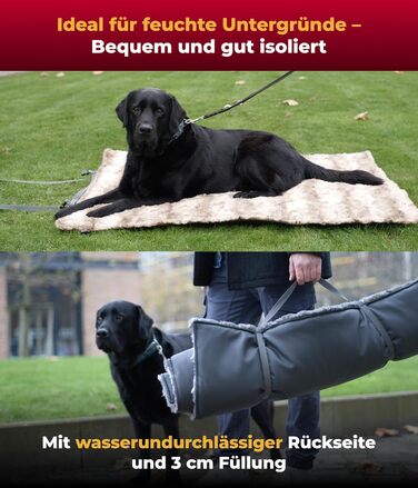 Водонепроникний килимок для собак Outdoor L (85x120 см) – килимок для собак, миючий, з наповнювачем 3 см – ідеальний для подорожей та дому – бежевий, Made in Germany 85 x 120 см