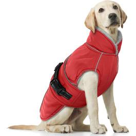 колір: б-ро́т