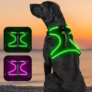 Сяюча LED шлейка для собак з ручкою, без натягу, розмір L, зелена