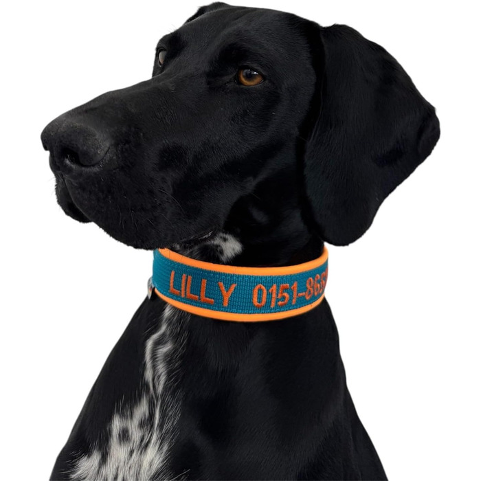 Ошийник для собак з можливістю персоналізації - XS-XXL - індивідуальне замовлення: вишивка імені та номеру телефону - широкий та регульований
