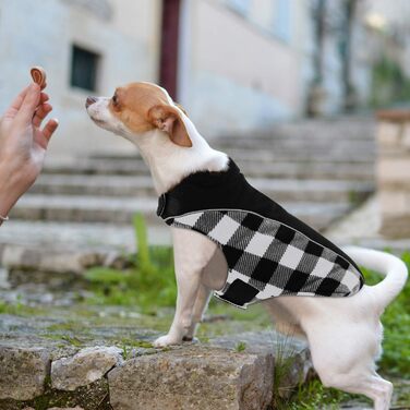 Теплий зимовий одяг для собак CITEITOILE з захистом живота, світловідбиваючими елементами, отвором для повідка, XXL (Чорний)