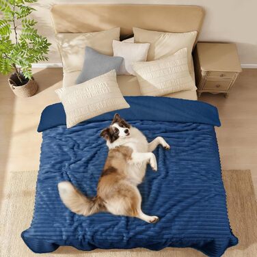 Водонепроникний плед для собак та котів Luciphia, 100x145 см (Морська синя)