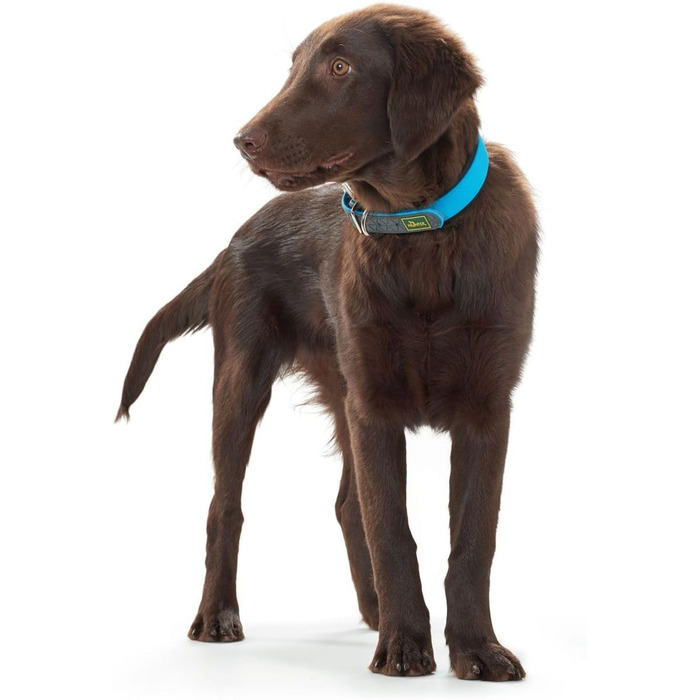 Нашийник для собак HUNTER CONVENIENCE COMFORT, тюркіс, 55 M-L: неопренове покриття, водостійкий, зручний для спорту та відпочинку