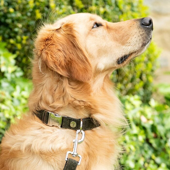 Регульований твідовий нашийник для собак HUGO & HUDSON x Hackett, темно-зелена клітинка, XS