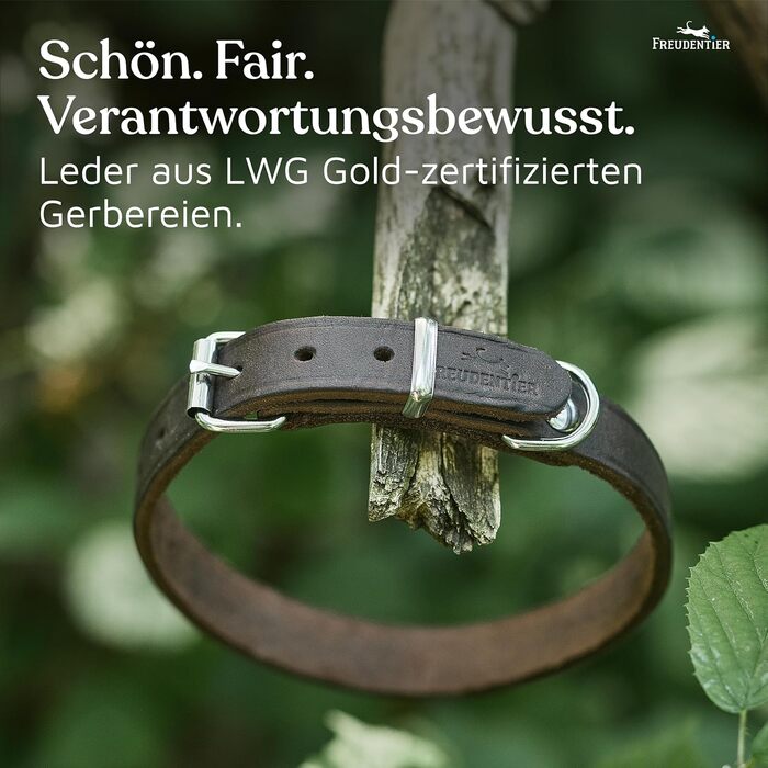 Нашийник для собак Freudentier Alsterufer з натуральної шкіри (шоколадний, 20,5-27 см)