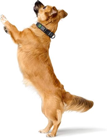 Крісло HUNTER Hasband Madon: дихаюче сітчасте полотно, міцний нейлон, гіпоалергенне, з регулюванням натягу, вбудований адресник, розмір S, коричневе