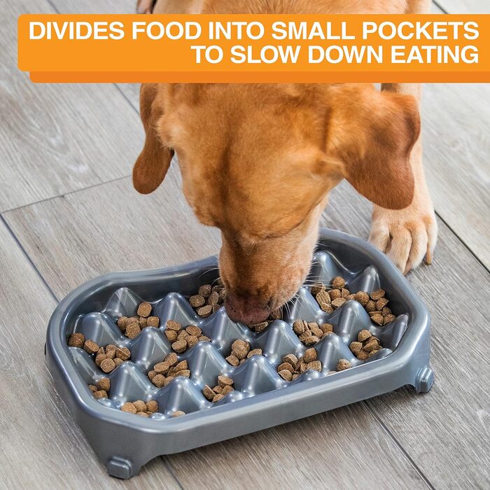 Neater Pet Brands – Антиковзаюча миска для собак 1500 мл, метал, проти здуття, для сповільненого годування