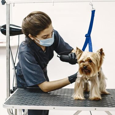 Нашийник для собак 3 шт., міцний, з регульованим тросом та D-кільцями, для грумінгу та купання, блакитний