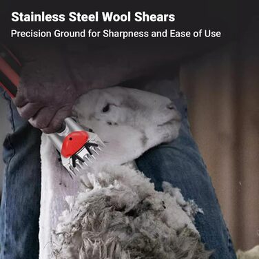 Ножиці для стрижки овець з нержавіючої сталі, універсальні, з змінними лезами (9 зубців, пряма леза + маятникове лезо)