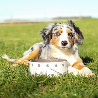 Керамічна миска для собак Nobby PATA кремового кольору, 18x7 см, 1.1 л