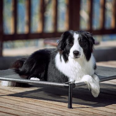 Підвищене ліжко для собак Mora Pets, для вулиці та дому, сіра лежанка 94.5x61x18 см, для малих, середніх і великих собак, кемпінг, сад