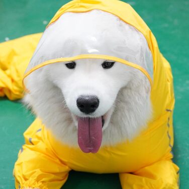 Зимовий теплий куртка для собак з отвором для повідка - жовтий, 11XL