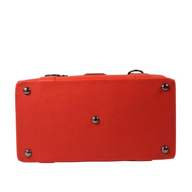 Сумка-переноска для собак MYXA Classi, сумка-переноска для собак, авіапереноска з знімною сіткою на даху (з кишенею зовні), з ручками та клатчем для жінок (червоний квітковий принт)