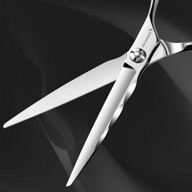 Професійні перукарські ножиці AOLANDUO VG10 для стрижки волосся - перукарські ножиці для барберів та салонів краси, нержавіюча сталь, 6.0 дюймів