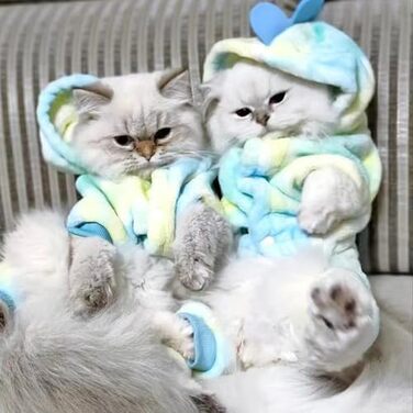 Костюм динозавра для собак, зимовий халат для цуценят, теплий капюшонний светр, блакитна куртка для холодної погоди, теплий одяг для домашніх тварин на Різдво, Хелловін (Рожевий, M) (X-Small, Зелений)