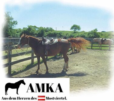 Дитячий ковбойський сідло AMKA DE ROSA чорний/рожевий для поні та шеток