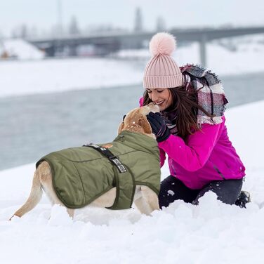 Зимовий одяг для собак FeimaX: теплий, вітронепроникний зимовий одяг для середніх та великих собак. Відображаючий, регульований жилет для тварин з кільцем D (зелений, 6XL)