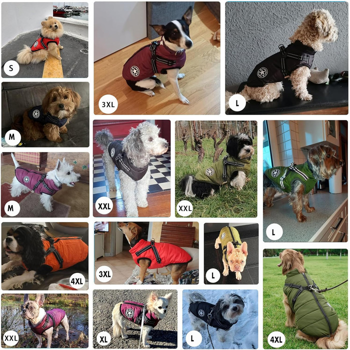 Зимова куртка для собак Aiboria: вітронепроникна, водонепроникна, 2-в-1, тепла, зелена, для цуценят та малих порід