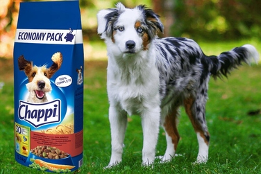 Сухий корм для собак Chappi з яловичиною, птицею та овочами, 13,5 кг