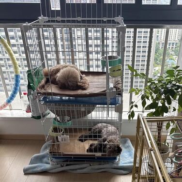 Клітка для собак, переноска для собак, металева клітка-переноска для дому, 52x36x49 см, з дашком та висувною полицею, на колесах