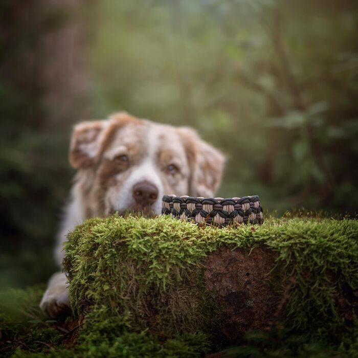 Нашийник для собак Ben&Bruno: міцний, ручної роботи, з паракорду, для собак малого, середнього та великого розміру, білий, розмір L