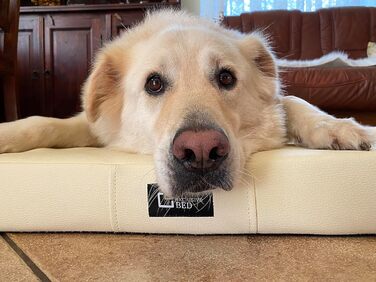 Килимок для собак Tina Grosse - лежанка для собак середнього та малого розміру. Лежанка для собак з еко-шкіри, миється, водонепроникна, м'яка, довговічна, стійка до зношування та розривів (XL, 100x80x8 см, Ecru)