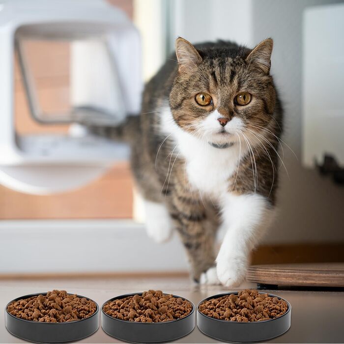 Набір мисок для котів з кераміки, 3 шт. - миски для котів та кошенят, 15*4 см (чорний)