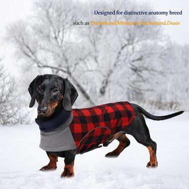Водонепроникна зимова куртка для маленьких собак, мініатюрний джек-рассел, куртка для собак з отвором для повідка, ідеальна для прогулянок, походів, кемпінгу, червоний клітка, розмір XS