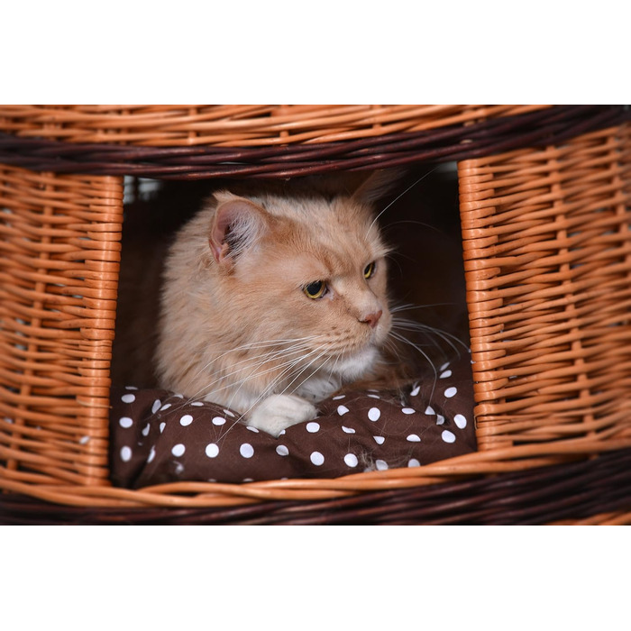 Багатоярусна котяча кімната з трьох поверхів, корзина для кота з плетеної лози, котячий будиночок з подушкою, котячий турнік