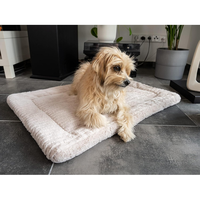 TrendPet Harmony: м'яка підстилка для собак та котів, 50x35 см, кремового кольору