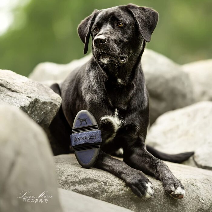 Щітка для собак з короткою шерстю Animalon Kurzhaar: для догляду під час линьки | Інноваційна щітка для собак з короткою шерстю