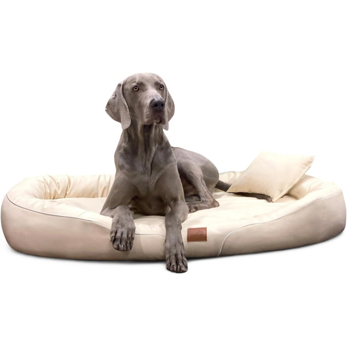 Ортопедичне ліжко для собак Tierlando® Tiffany Easy CLEAN з екошкіри – для великих собак (XL XXL) – гіпоалергенне з анти-волосяною поверхнею та Memory Foam – розмір: 115x90 см, колір: 05 Creme