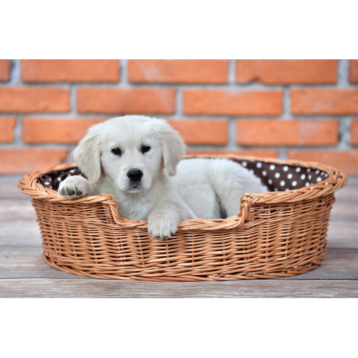 Корзина для собак та котів з плетеної лози e-wicker24, 75x75 см, з подушкою