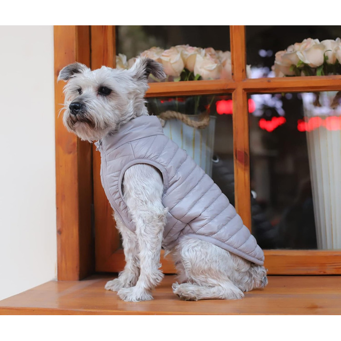 Зимовий теплий водонепроникний одяг для собак з кільцем D, суперлегкий, для малих порід (XS-XL)