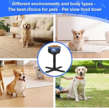 Підвищений годівниця для собак на підставці з нержавіючої сталі, 3 регульовані висоти, годівниця з ABS-пластику для маленьких/середніх/великих собак, неслизька (чорний-L) Для середніх та великих собак