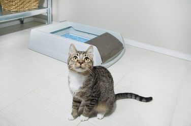 PetSafe самочистяча котяча туалетна коробка ScoopFree Original з одноразовим лотком, неклубкувальний наповнювач, до 30 днів без заміни