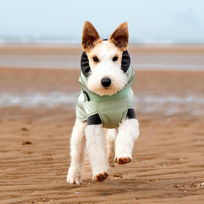 Зимовий одяг для маленьких собак: теплий пуловер з флісу, жилет для активного відпочинку, куртка з регульованою шлейкою, безрукавна куртка для цуценят Green L